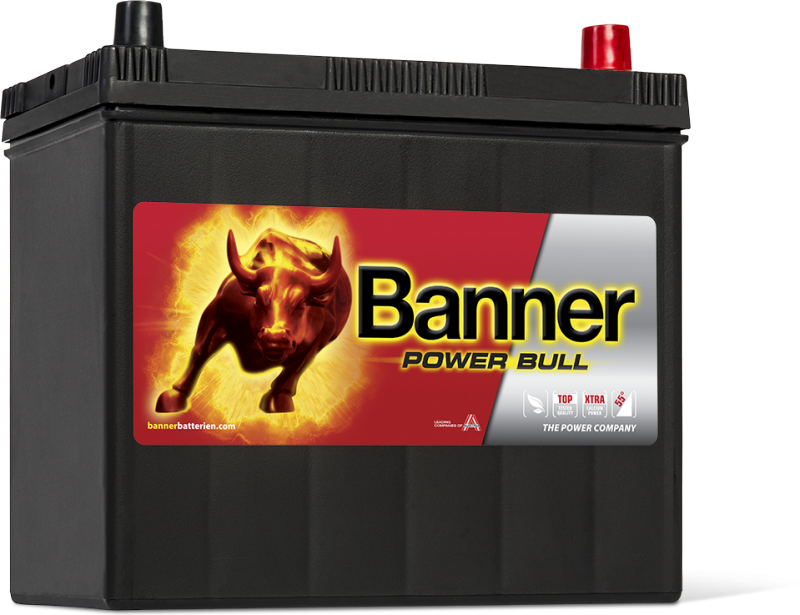 Banner Power Bull 12V 44Ah / BC_P44 09